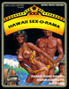Hawaii Sex-O-Rama Triple Feature - Image 2