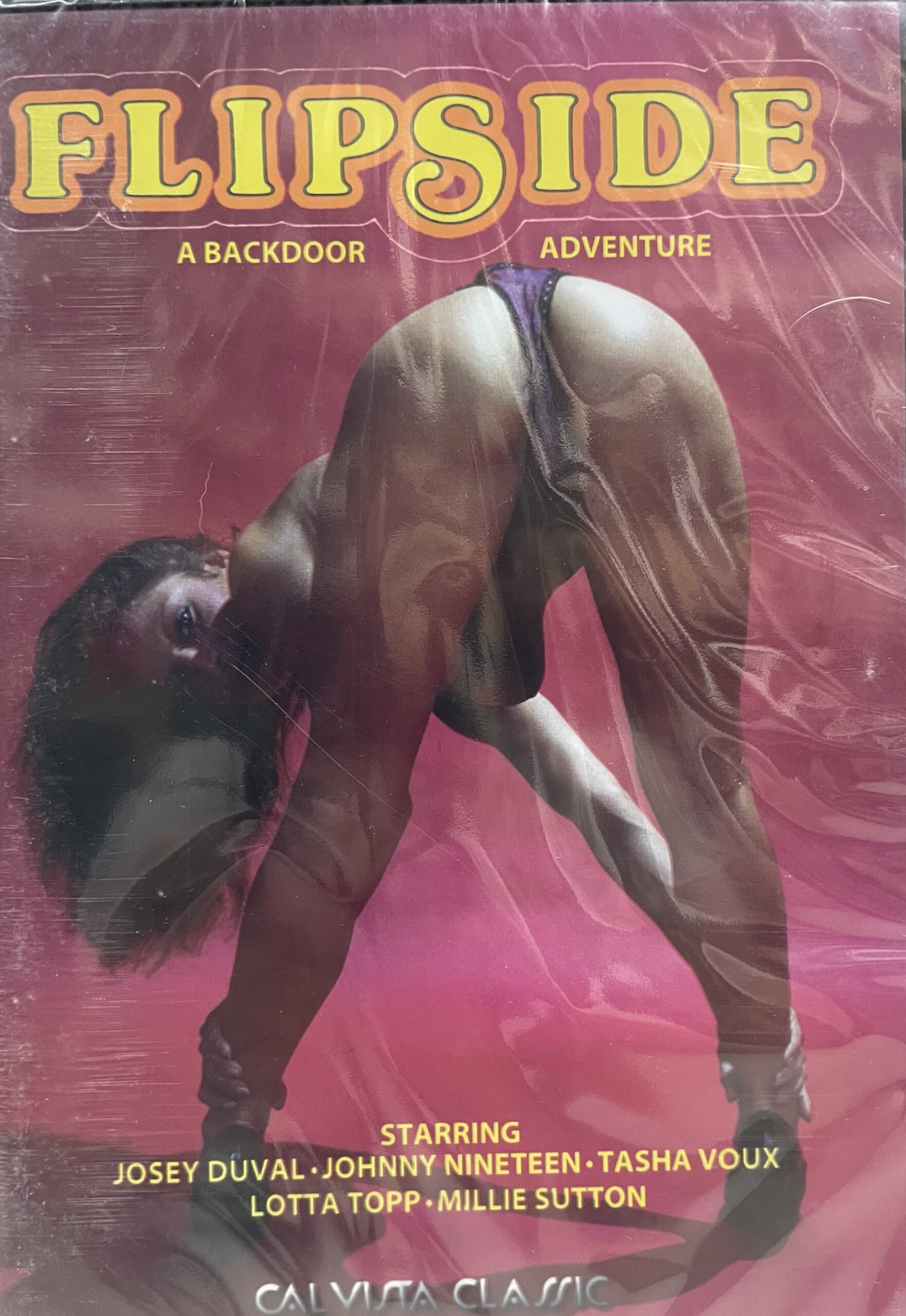 Flipside-A Backdoor Adventure!